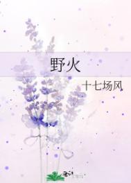 野火春风斗古城电视剧全集免费观看